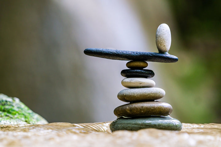 Menopause Hormones Explained: Navigating Estrogen Decline and Natural Hormone Balance - Botavive