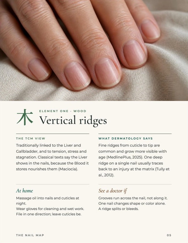 The Nail Map preview page one