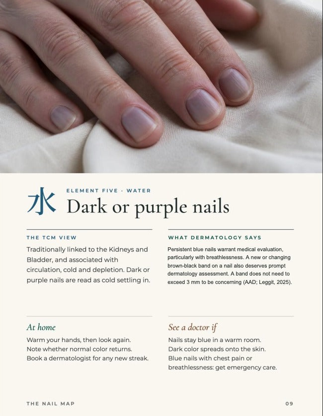 The Nail Map preview page three