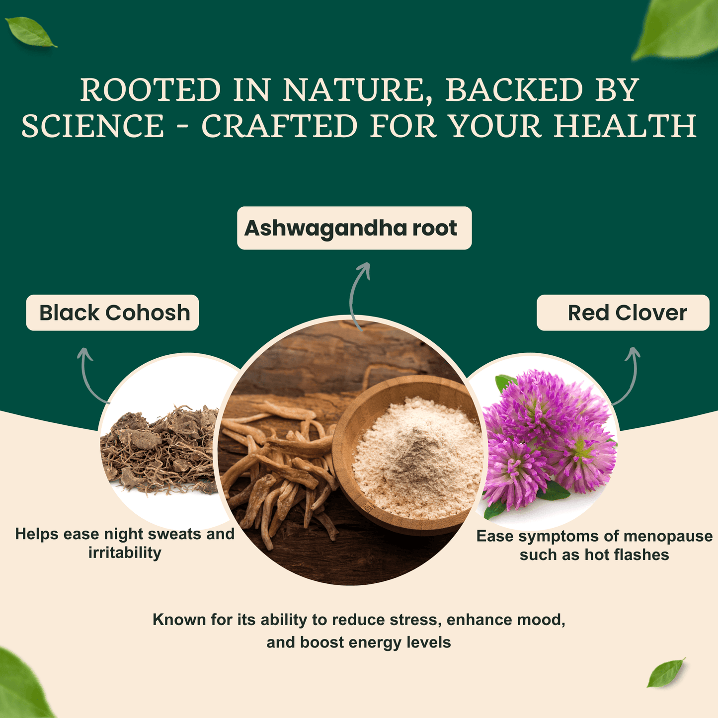 Botavive Balance - Natural Menopause Multi Symptom Relief - Botavive