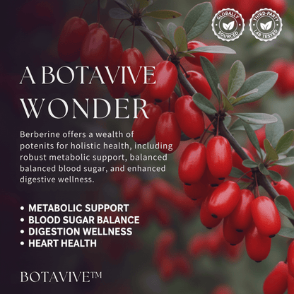 Botavive® Berberine 1200 mg – Premium Berberine HCl Blend - Botavive