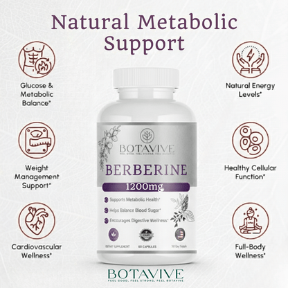 Botavive® Berberine 1200 mg – Premium Berberine HCl Blend - Botavive