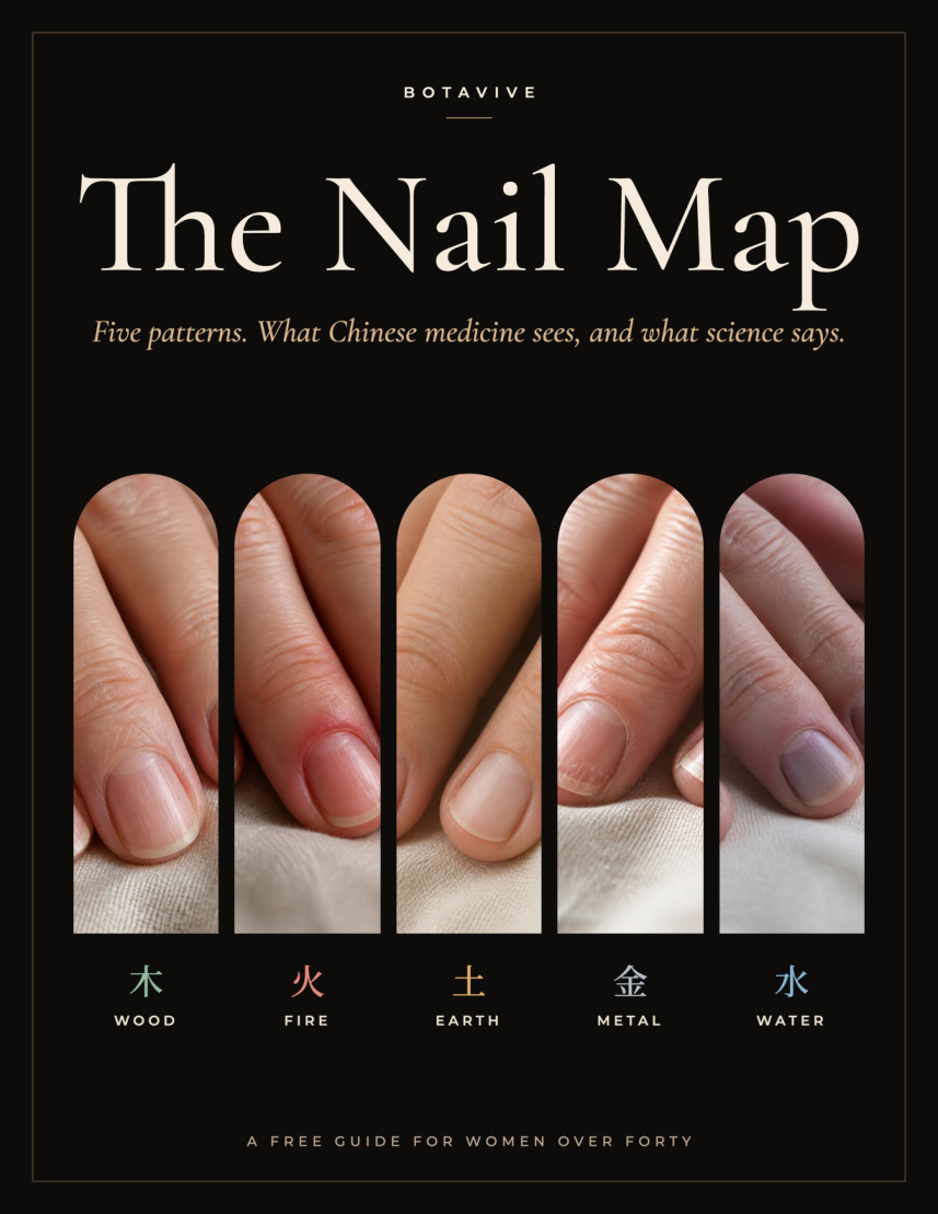 The Nail Map cover